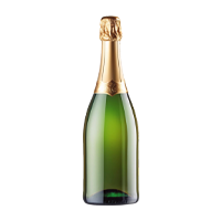 Bollicine
